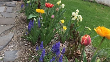 花園