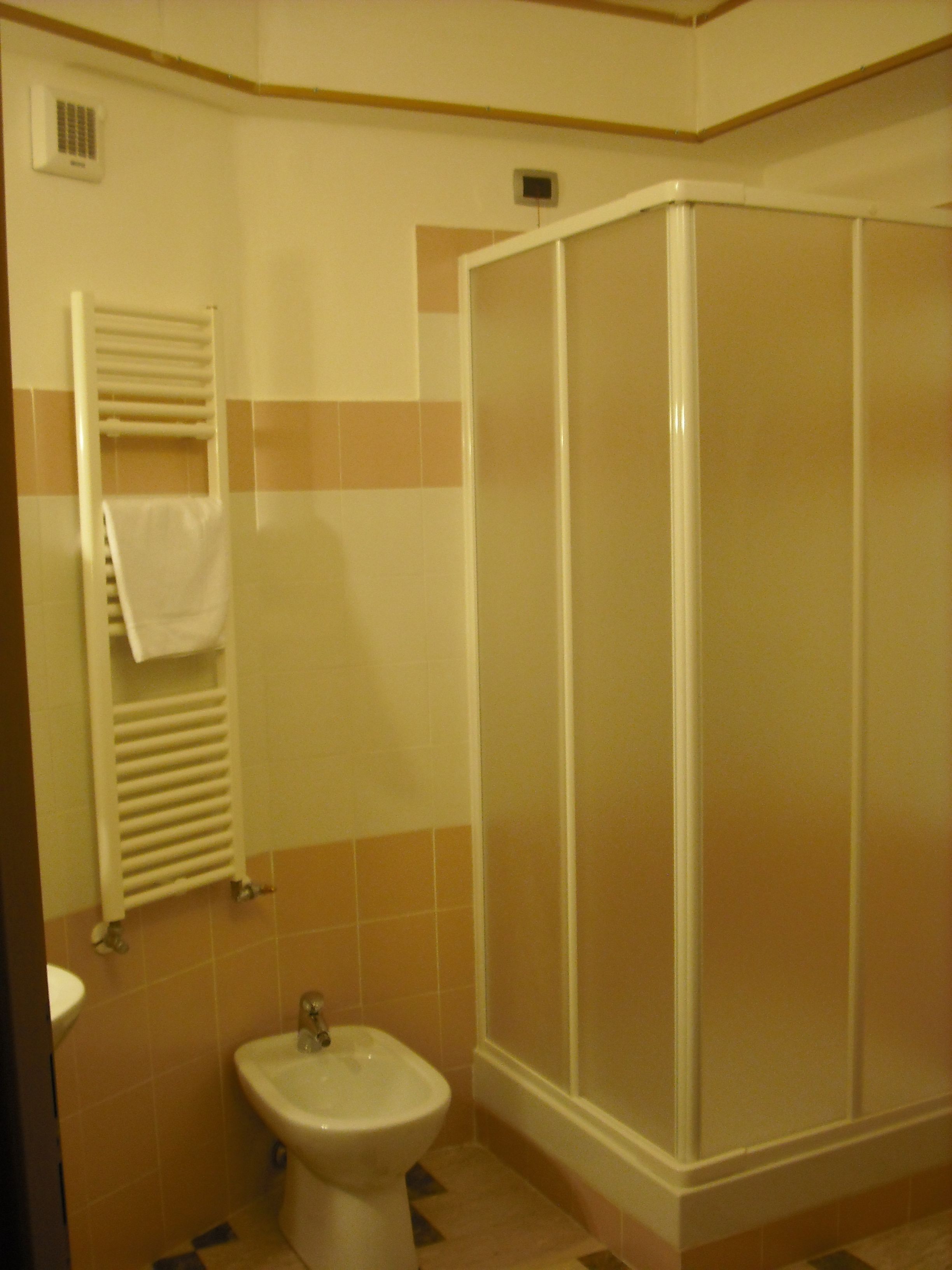 shower, free toiletries, hair dryer, bidet