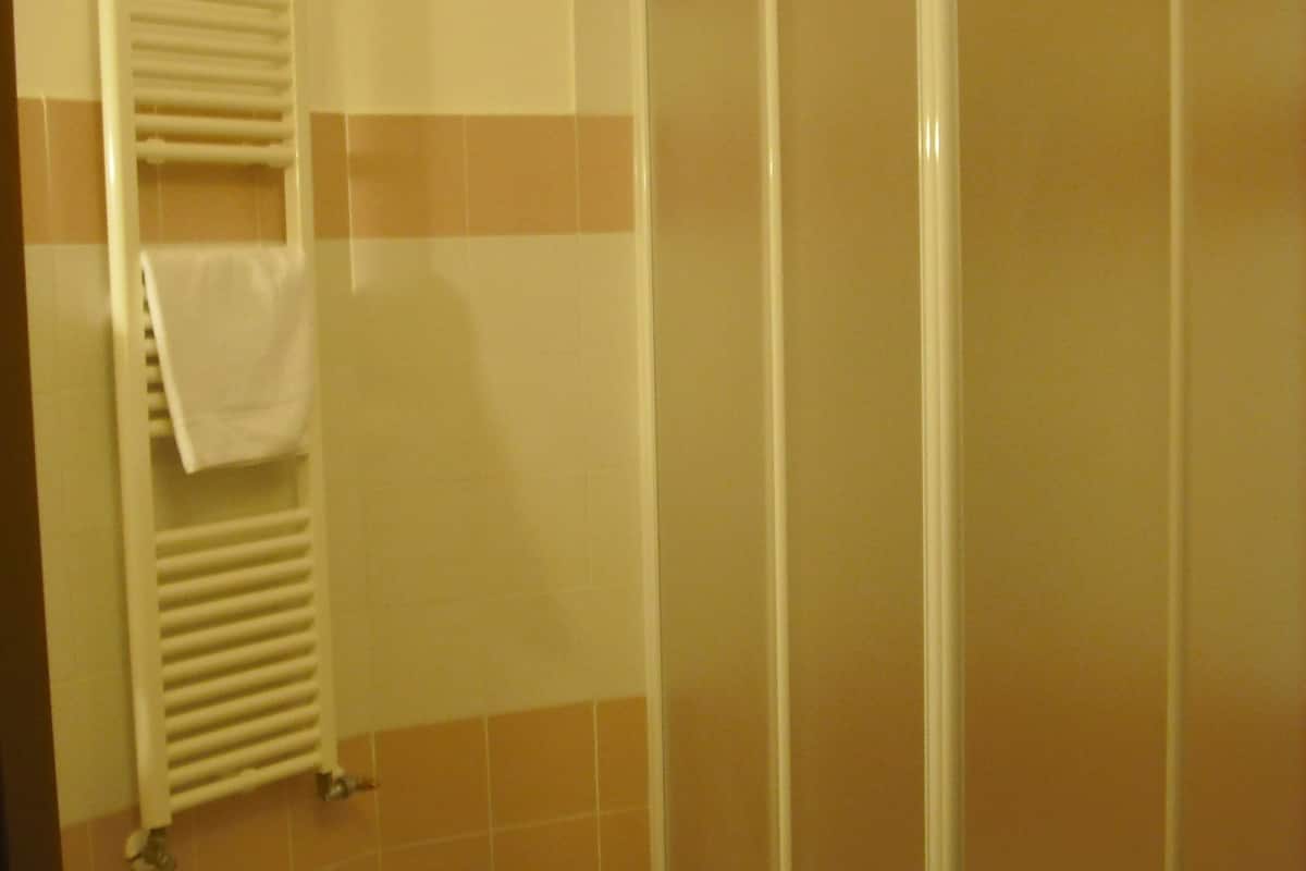 shower, free toiletries, hair dryer, bidet