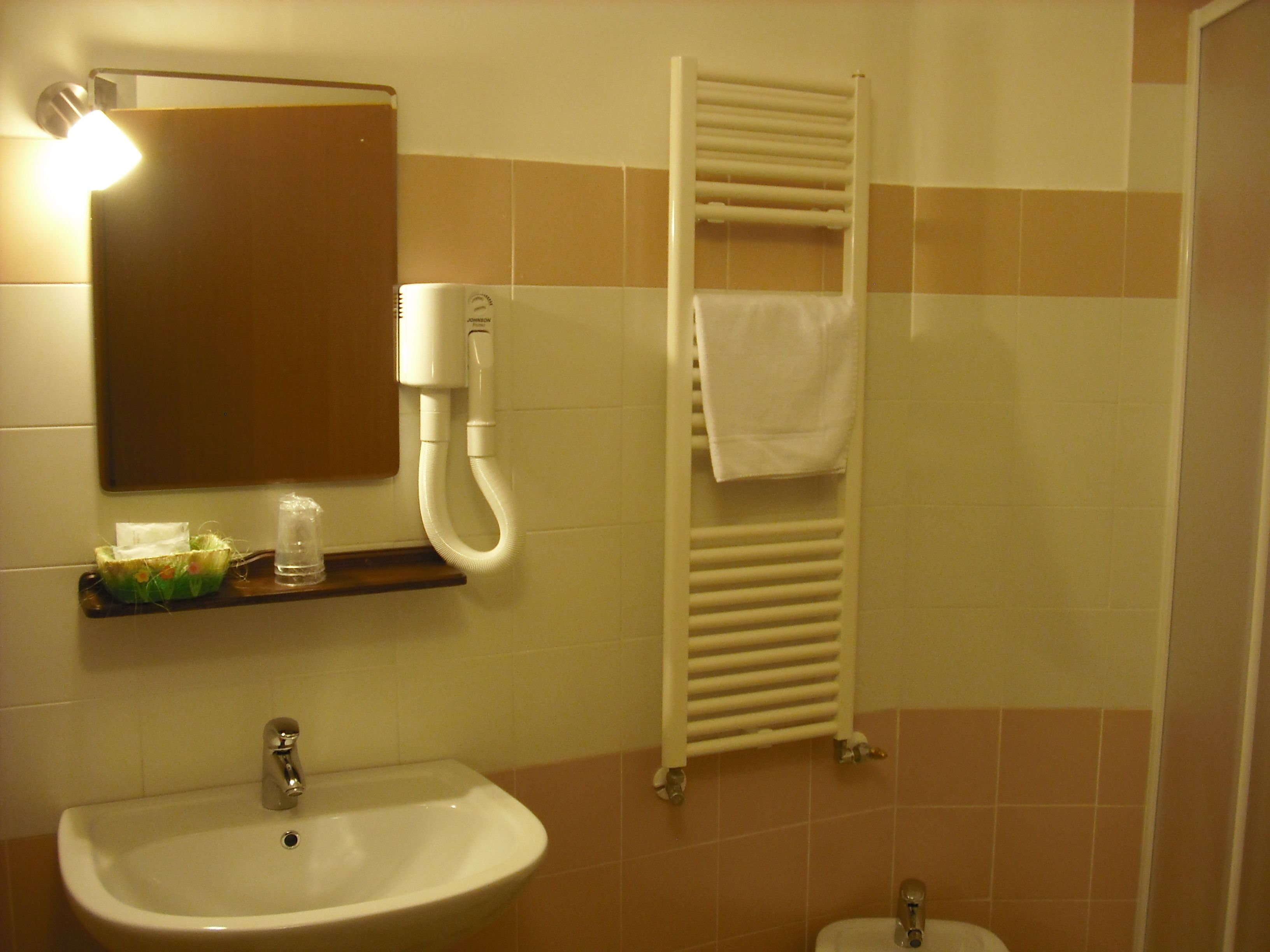 double room single use | bathroom | shower, free toiletries, hair dryer, bidet