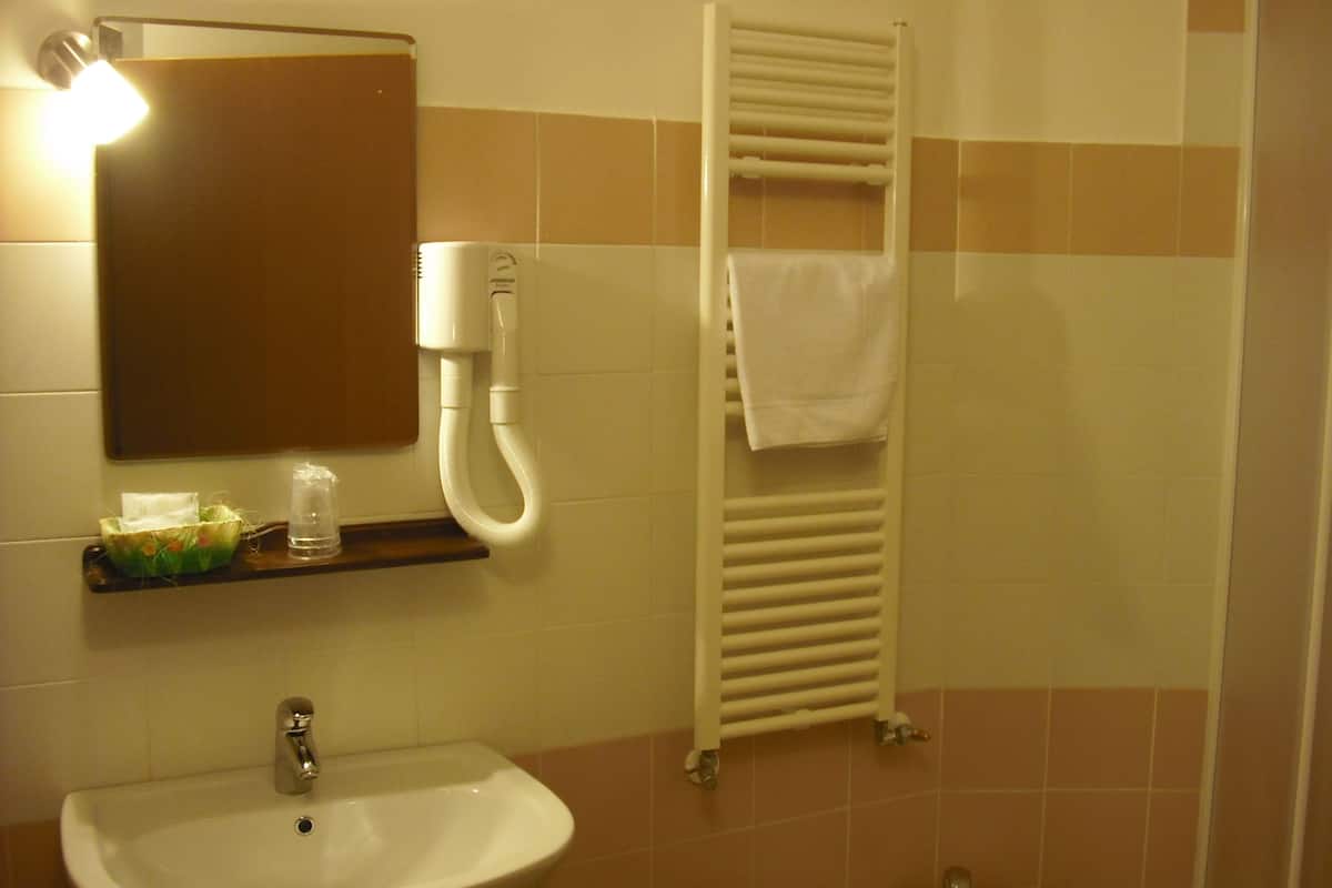 double room single use | bathroom | shower, free toiletries, hair dryer, bidet