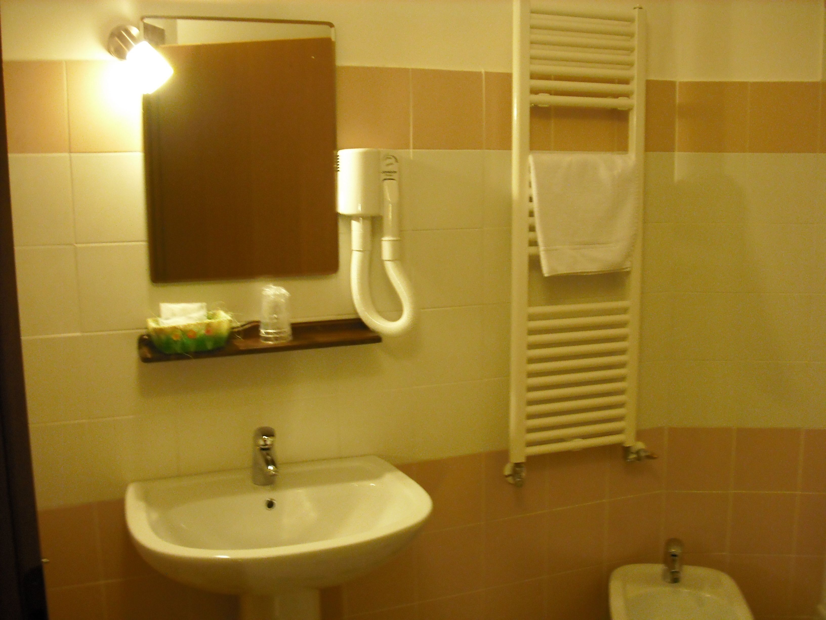shower, free toiletries, hair dryer, bidet