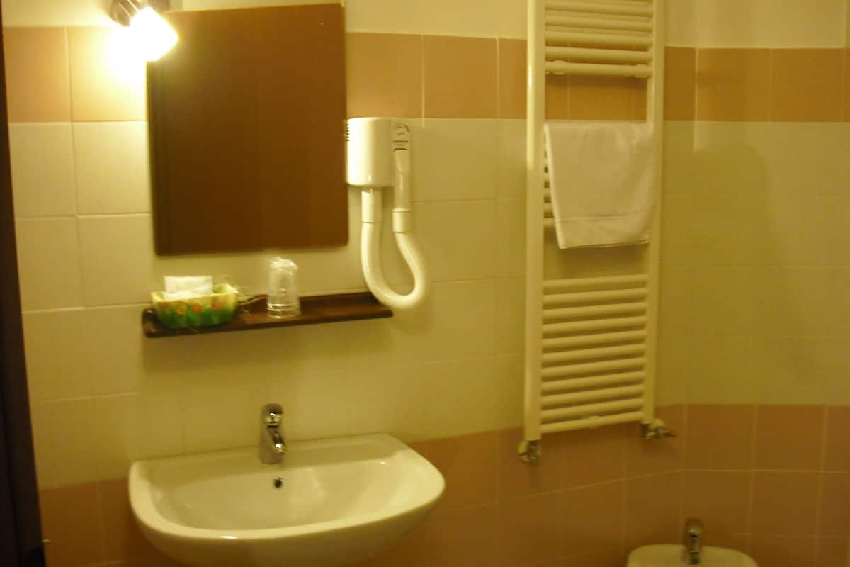 shower, free toiletries, hair dryer, bidet