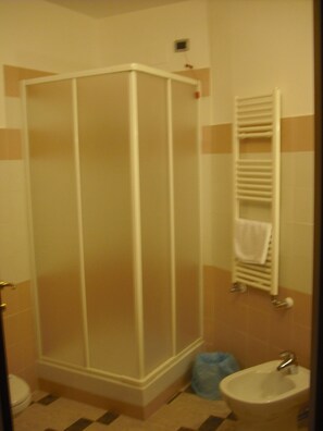 Shower, free toiletries, hair dryer, bidet