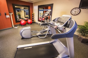 A gym with treadmills, elliptical machines, and exercise balls.