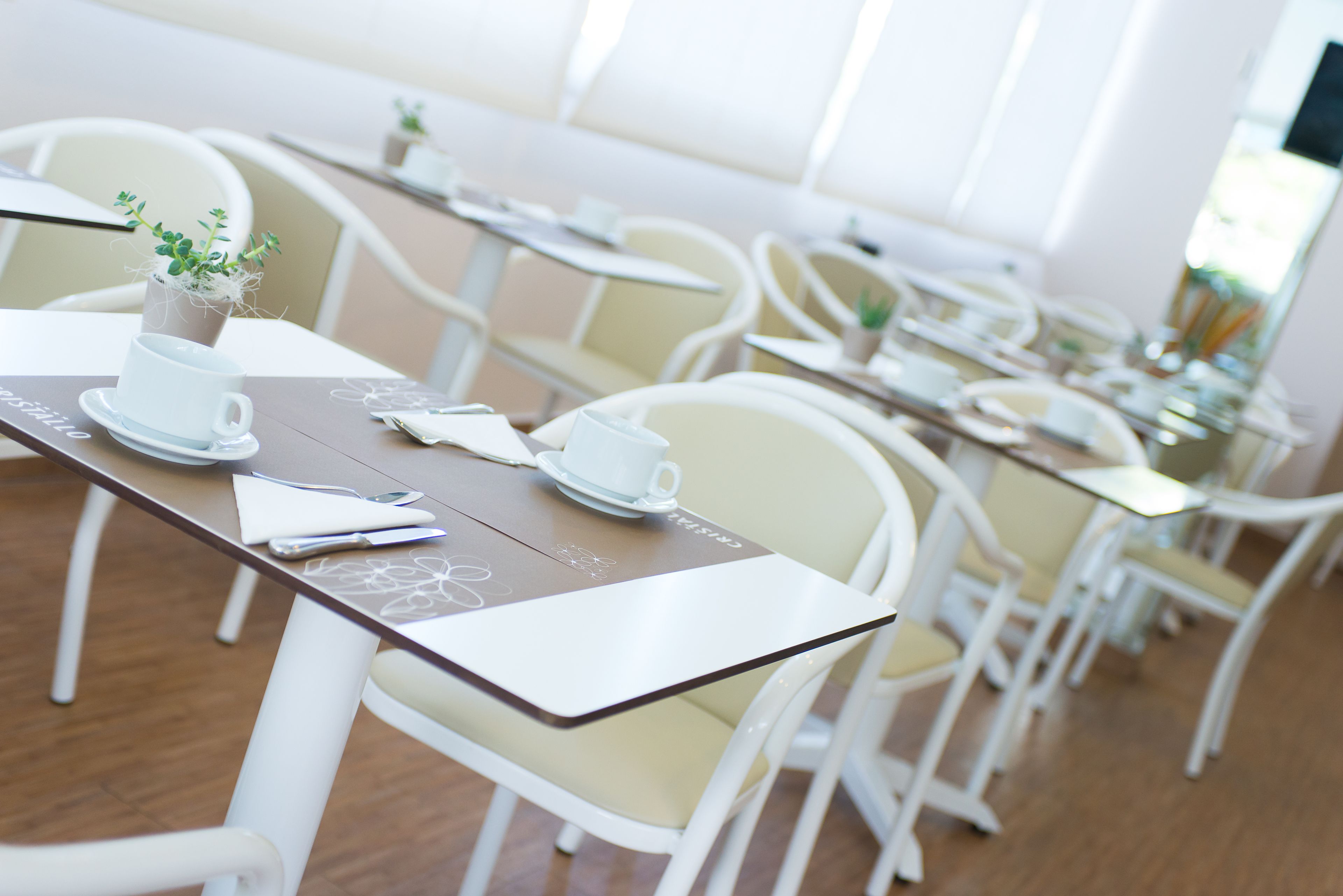 Un comedor moderno con sillas y mesas blancas, algunas con plantas en macetas.