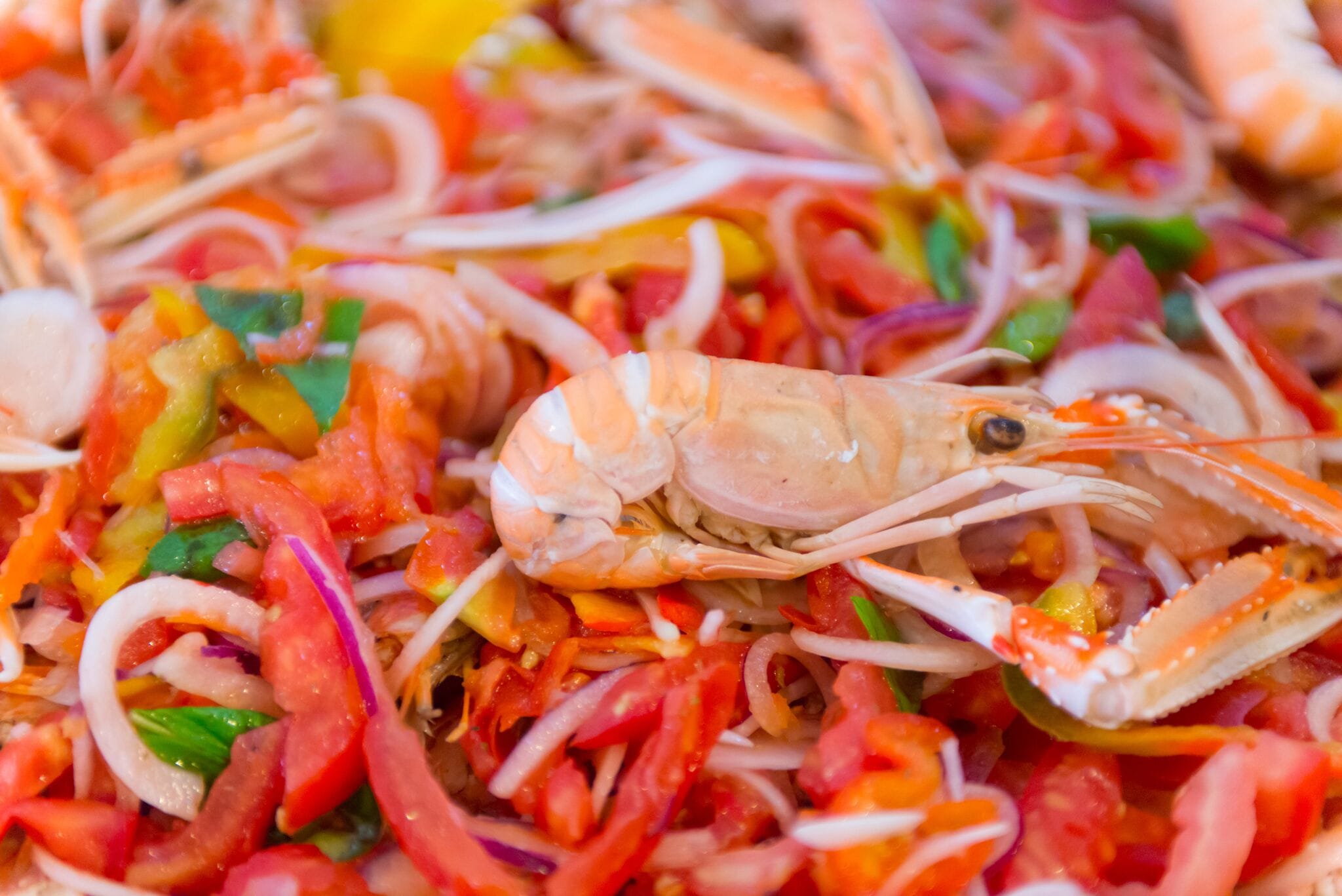 Foto - Hotel Cristallo