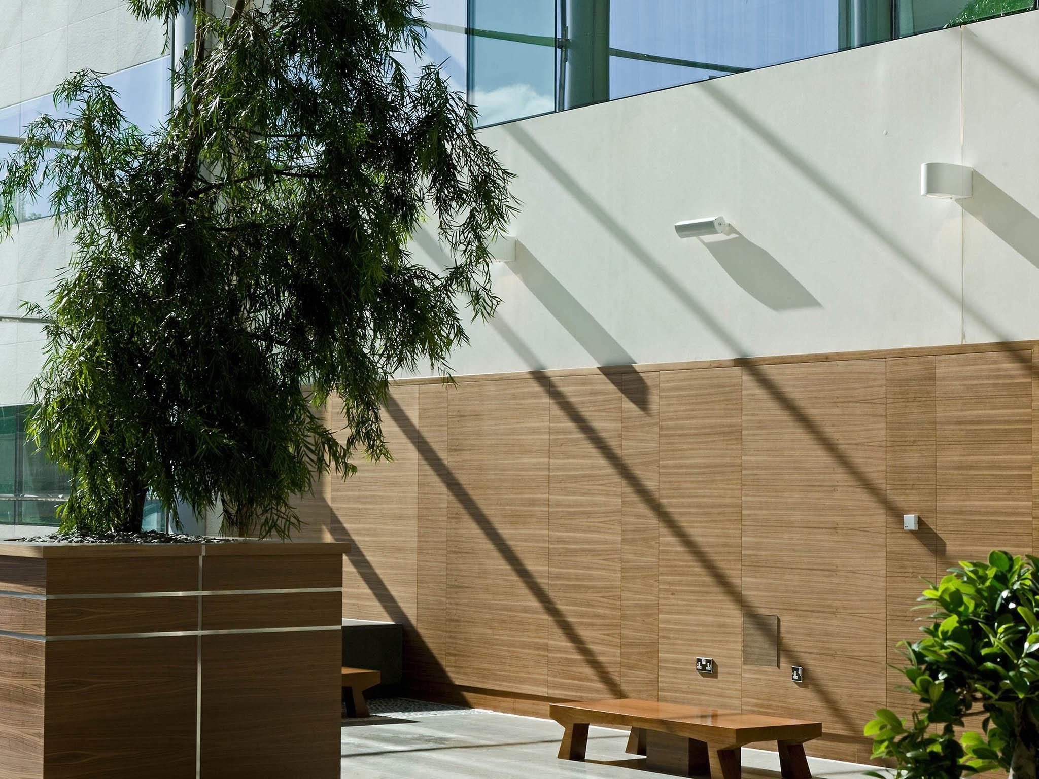Un espacio interior moderno con paneles de madera, un árbol grande y un banco.