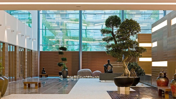 Een moderne lobby met een glazen wand, potplanten en een houten bank.