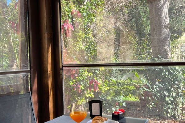 Garden view