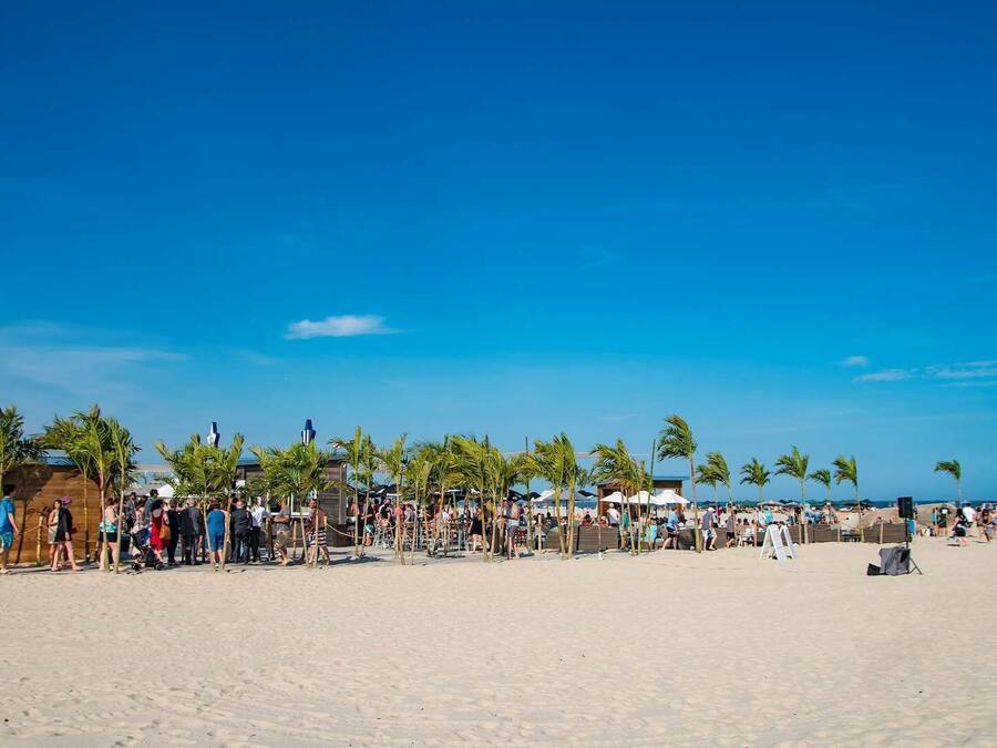 A beach with palm trees, beach umbrellas, and people.