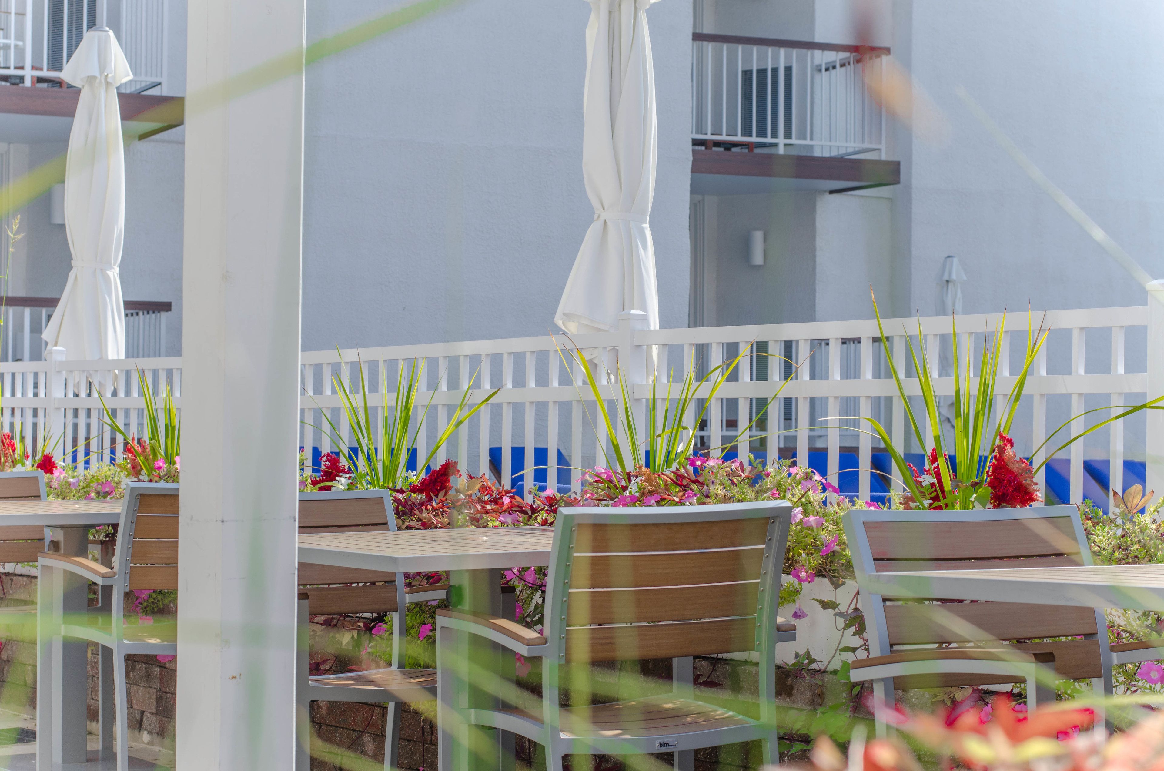 lunch, dinner served; seafood, beach views