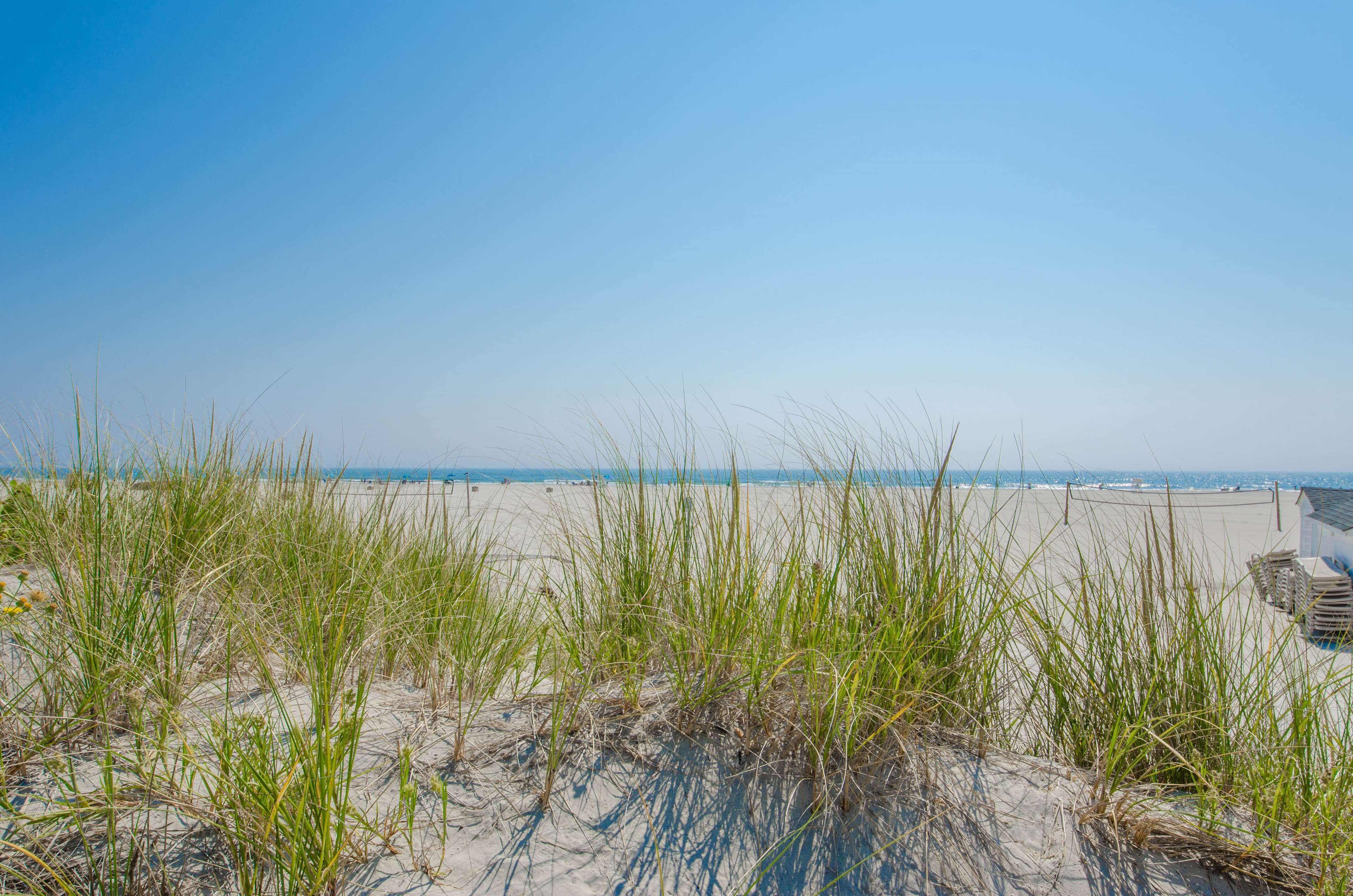 A beach with sand dunes and sparse vegetation.