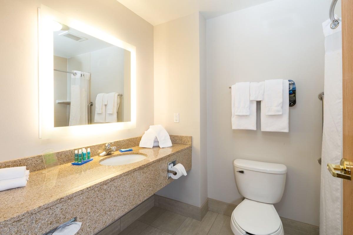 A bathroom with a sink, mirror, and toilet.