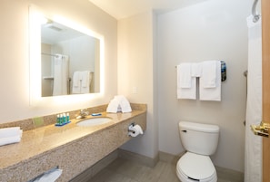 A bathroom with a sink, mirror, and toilet. - Holiday Inn Express Hotel & Suites Detroit - Utica by IHG (Utica)