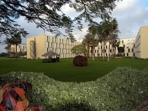 Vue sur le jardin