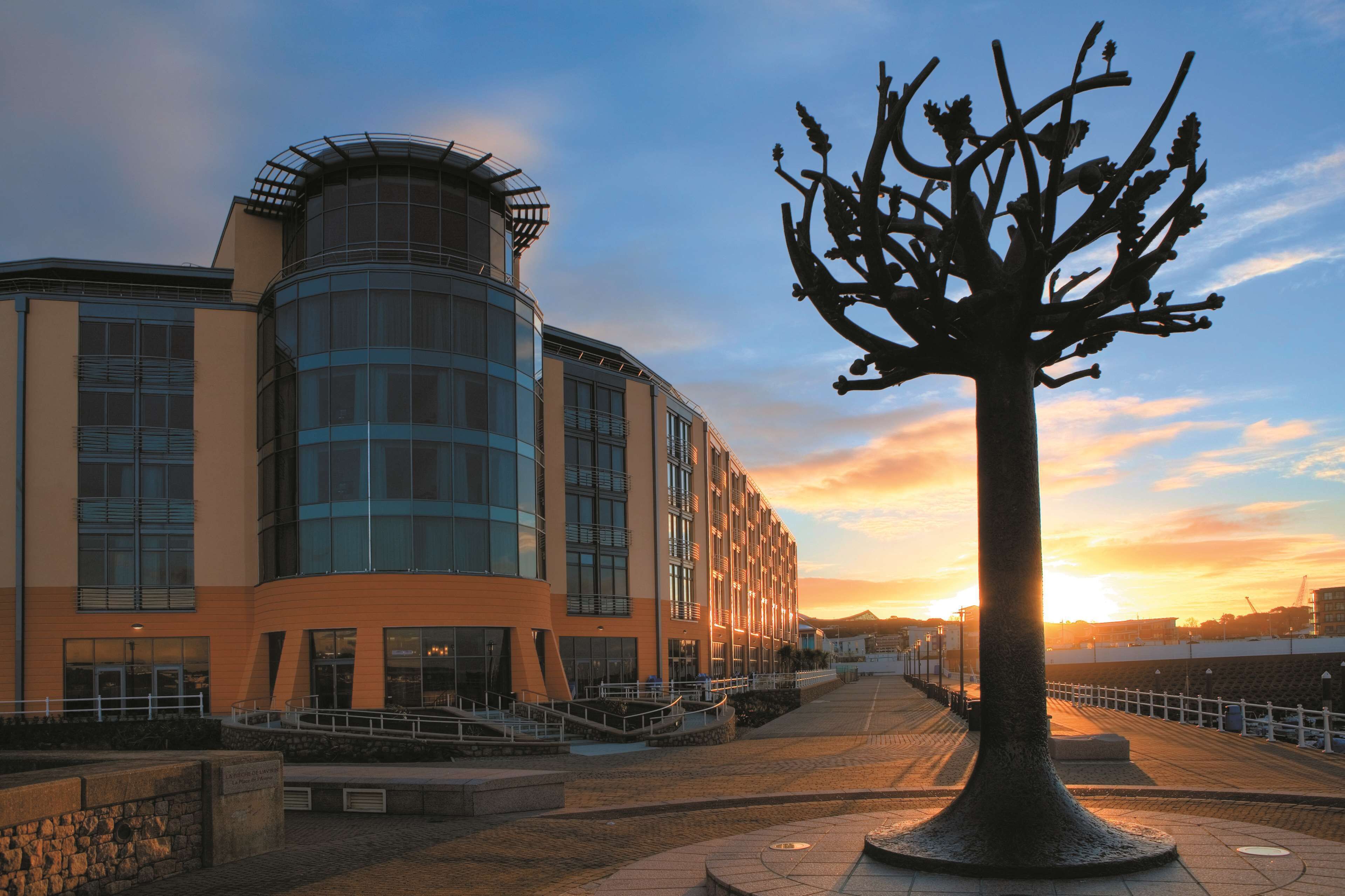 A modern building with a curved glass facade and a large tree sculpture in front.