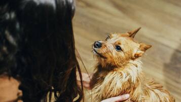 A person holding a small dog indoors.