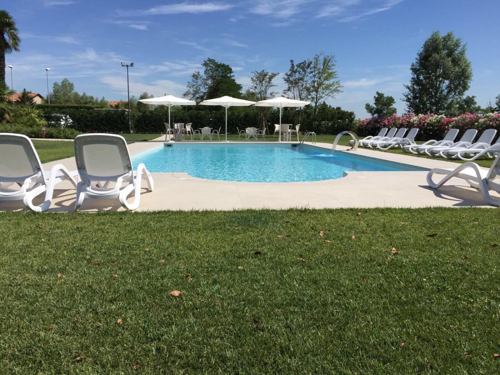 Une piscine entourée de pelouse et d’arbres, avec des chaises longues blanches et des parasols.