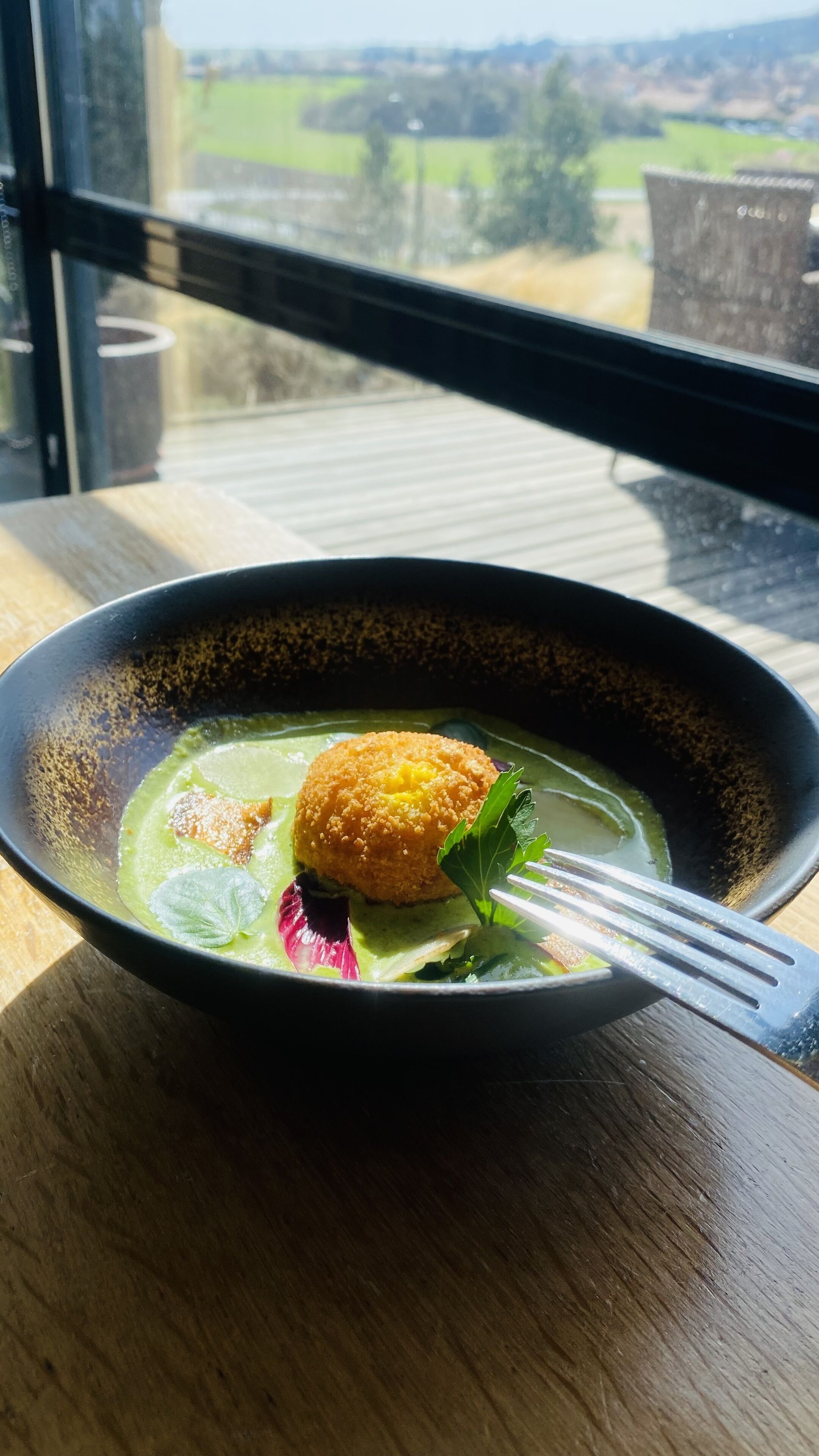 A bowl of soup with a breaded item and a fork on a wooden table near a window overlooking a green landscape.