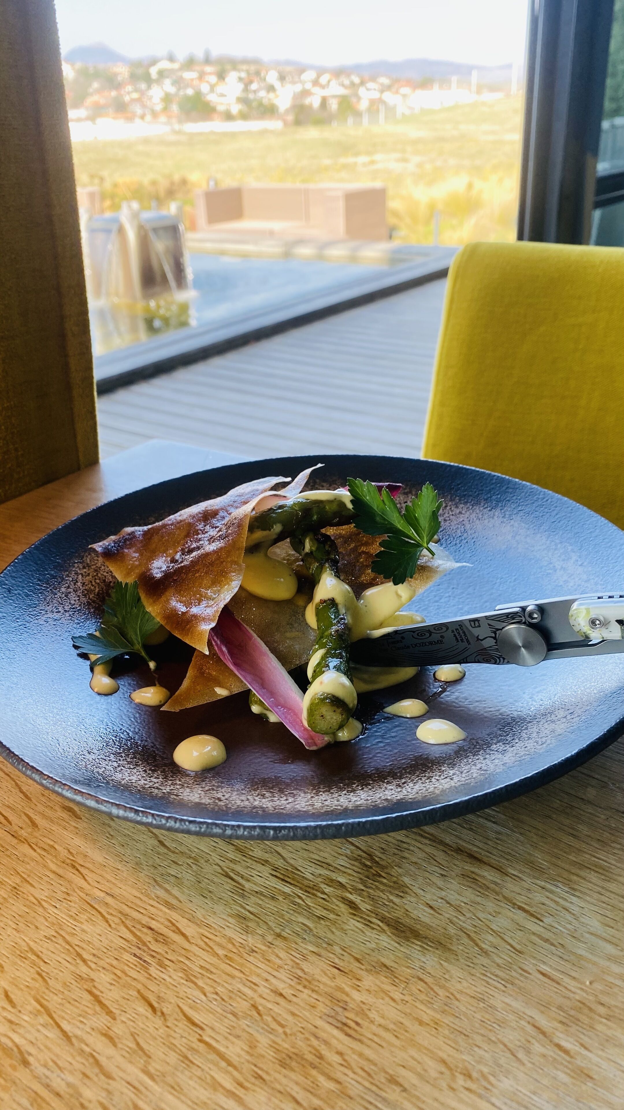 A plate of food with a knife on a table, with a view of a landscape in the background.