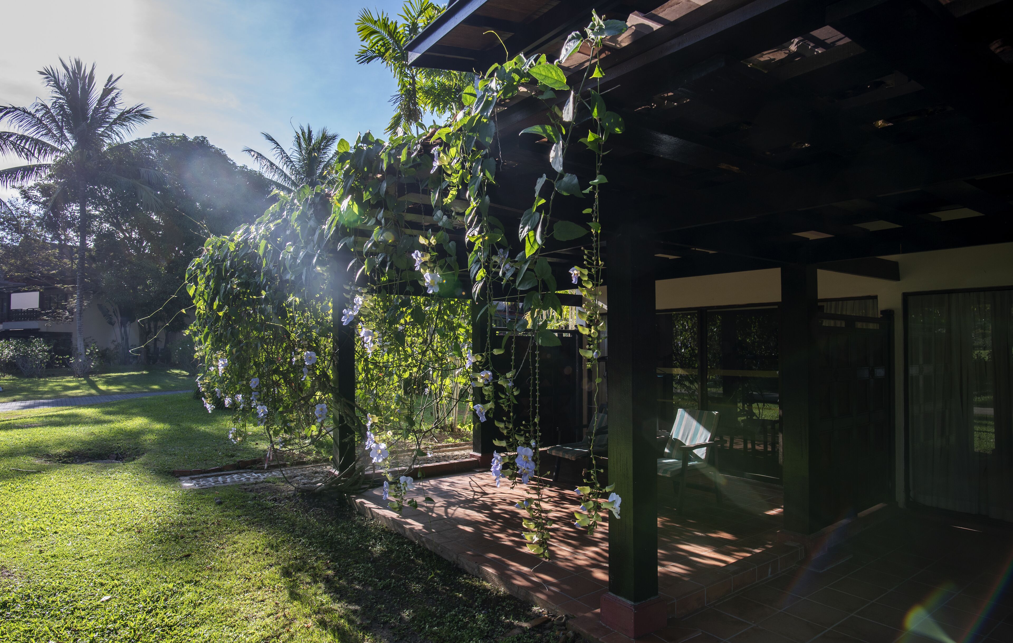A covered outdoor area with a pergola structure, a grassy lawn, and a palm tree in the background.