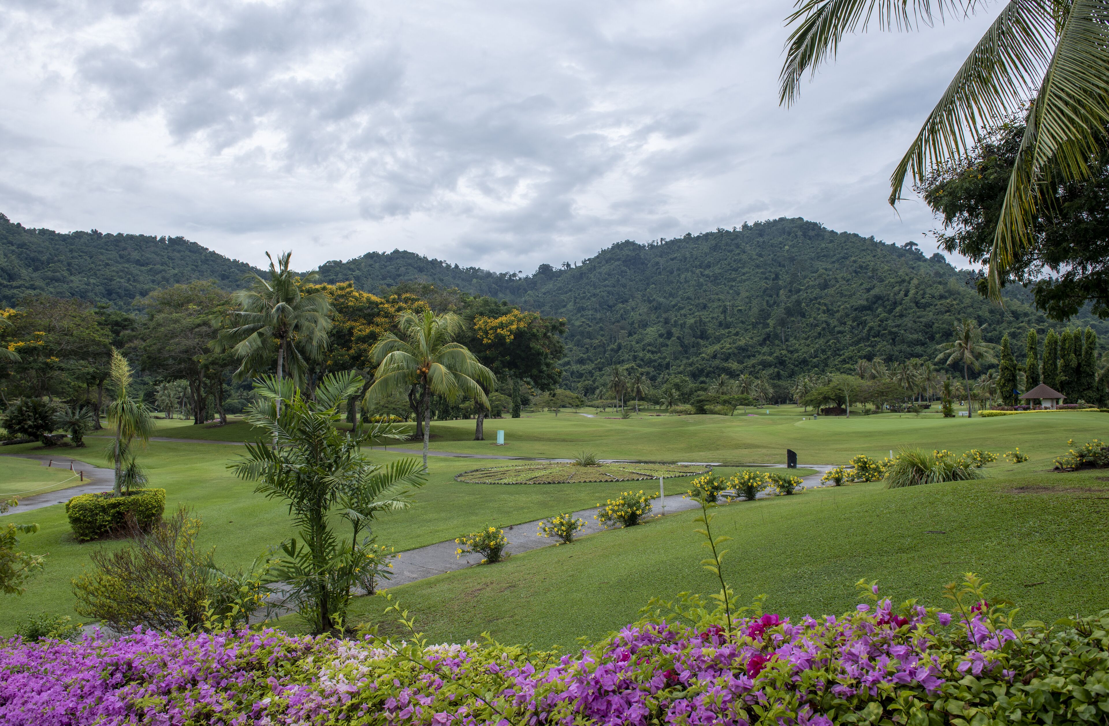 A lush green landscape with a golf course, palm trees, and a mountain in the background.