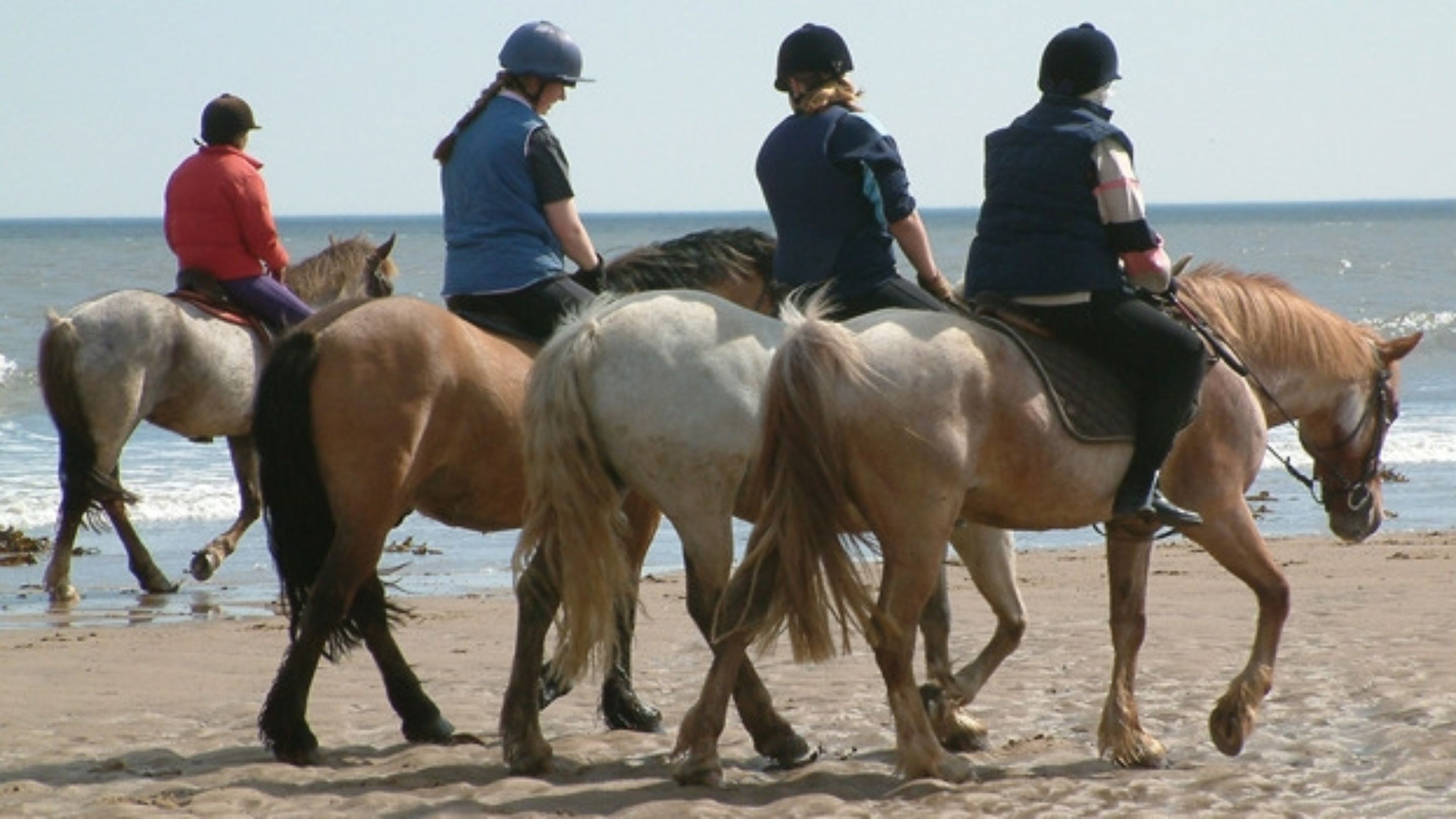 A beach scene with four people riding horses.