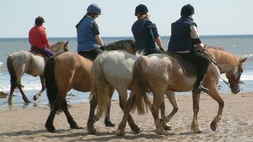 A beach scene with four people riding horses.