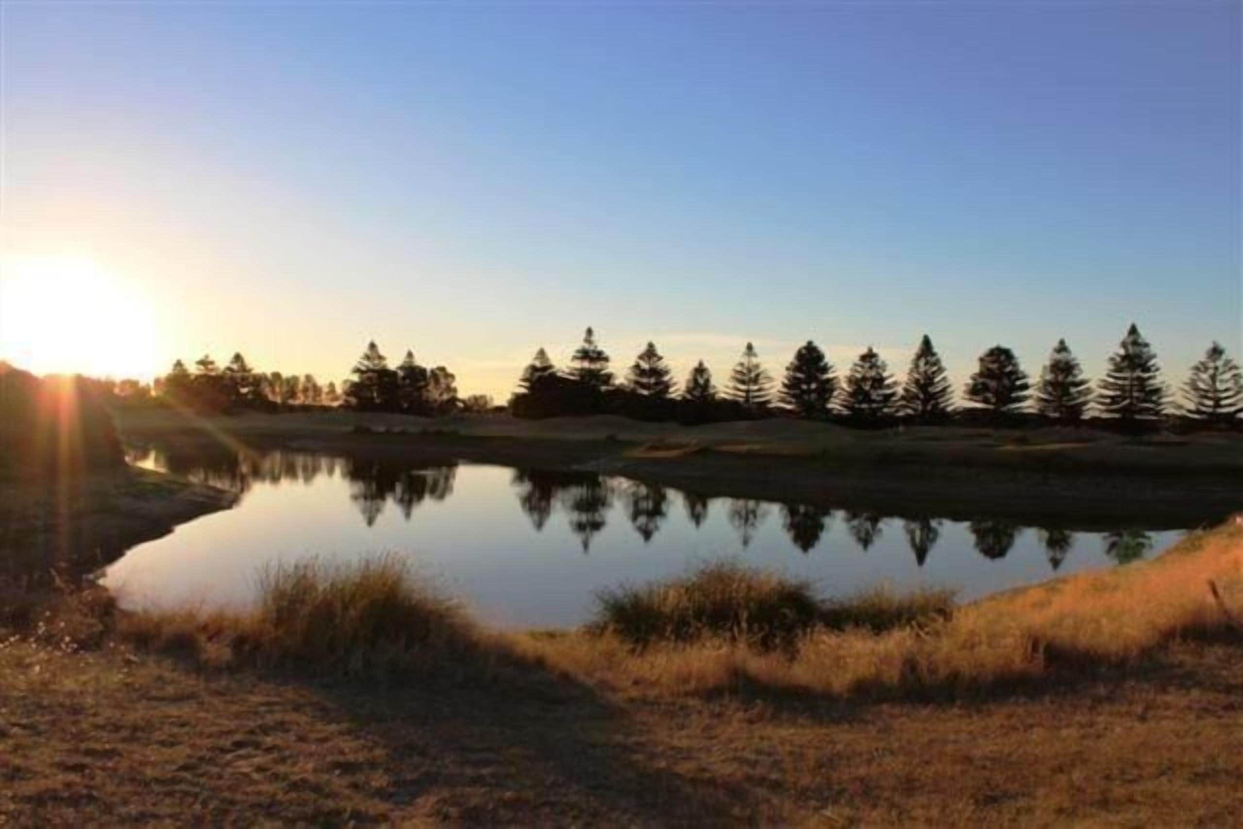 A serene lakeside scene with a row of evergreen trees reflecting in calm water, surrounded by grassy banks.