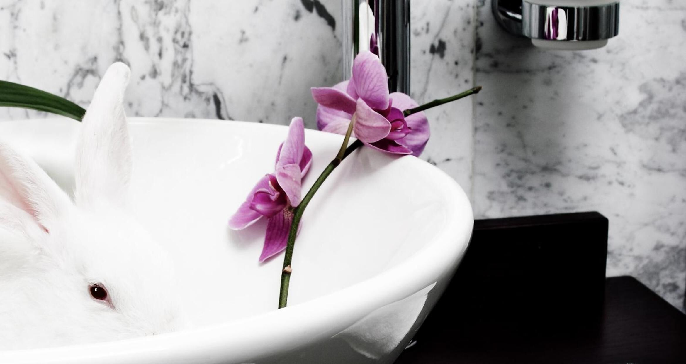 rainfall showerhead, free toiletries, hair dryer, bathrobes