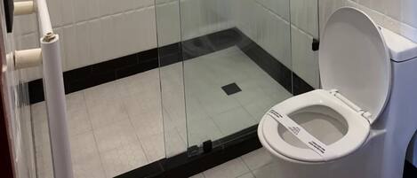A modern bathroom with a glass-enclosed shower, a white toilet, and a small sink.