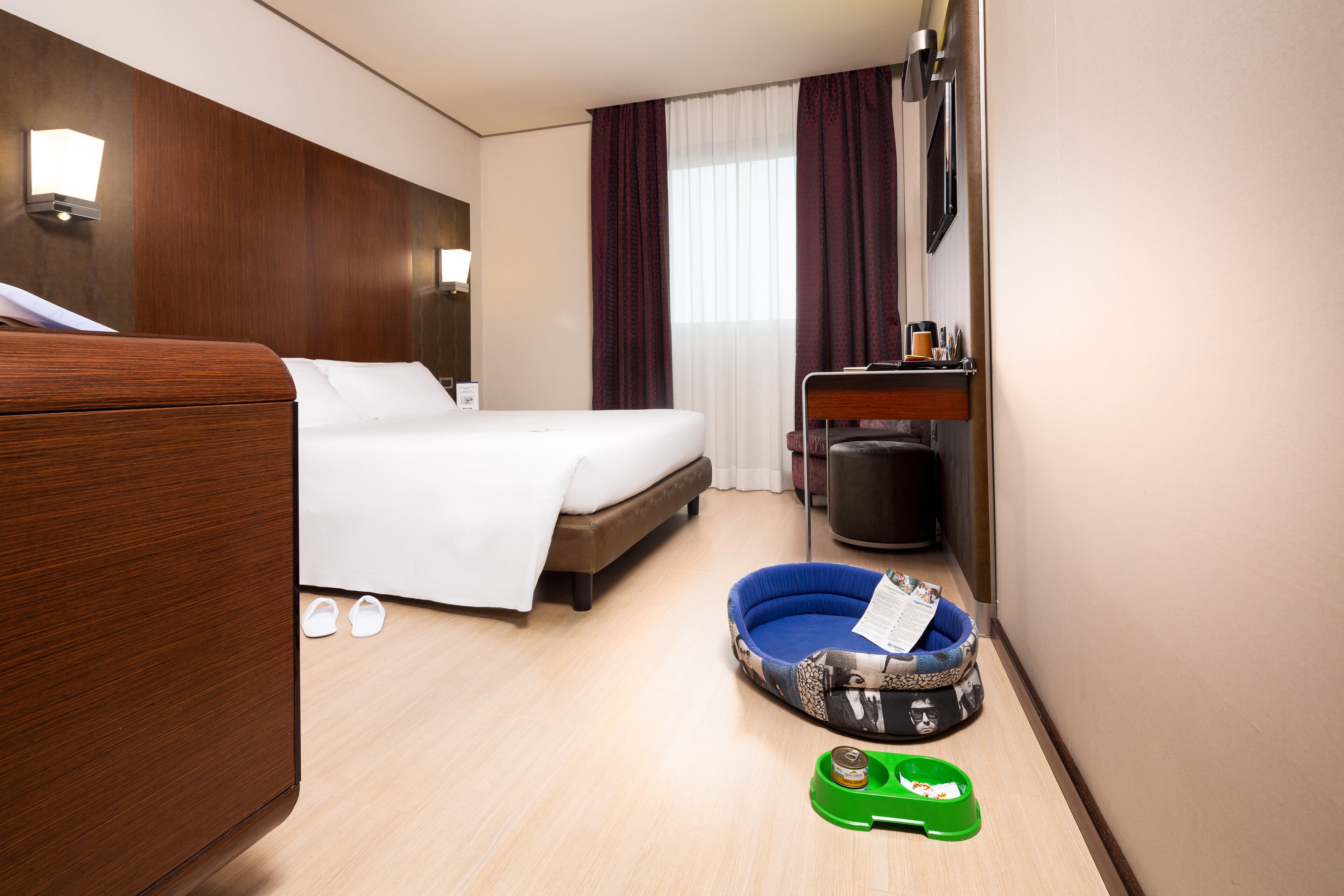 A hotel room with a bed, a desk, a chair, a pet bed, and a trash bin.