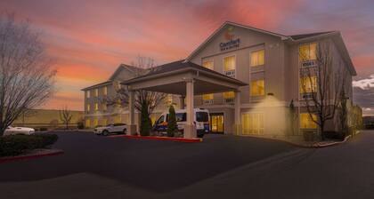 Comfort Inn & Suites Airport