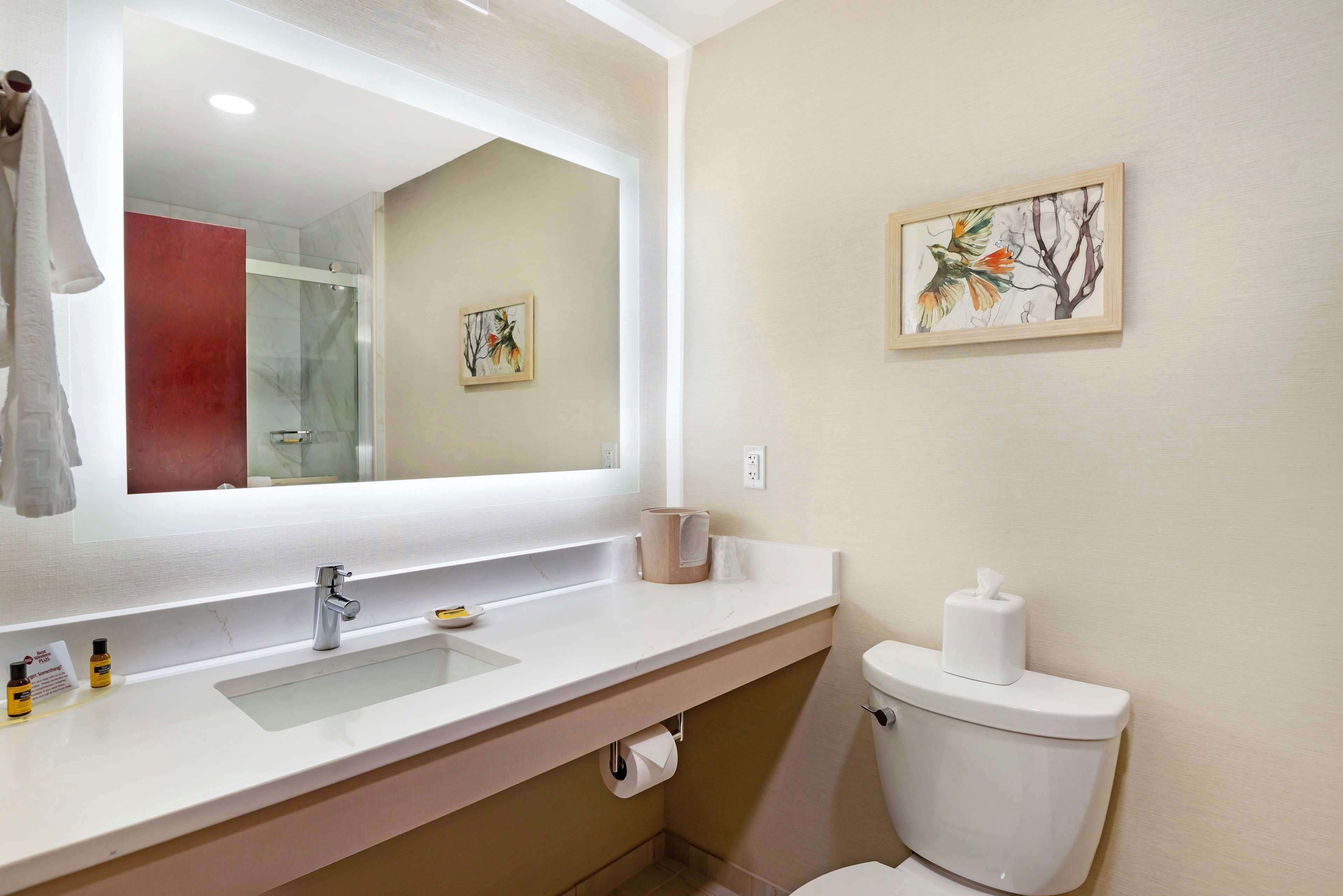 free toiletries, hair dryer, towels