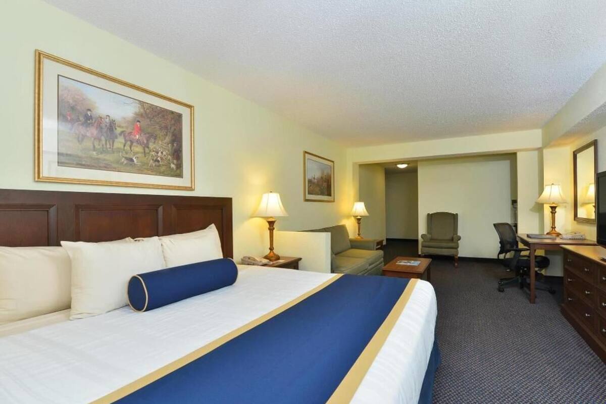 A hotel room with a large bed, two bedside tables with lamps, a desk with a chair, and a television.