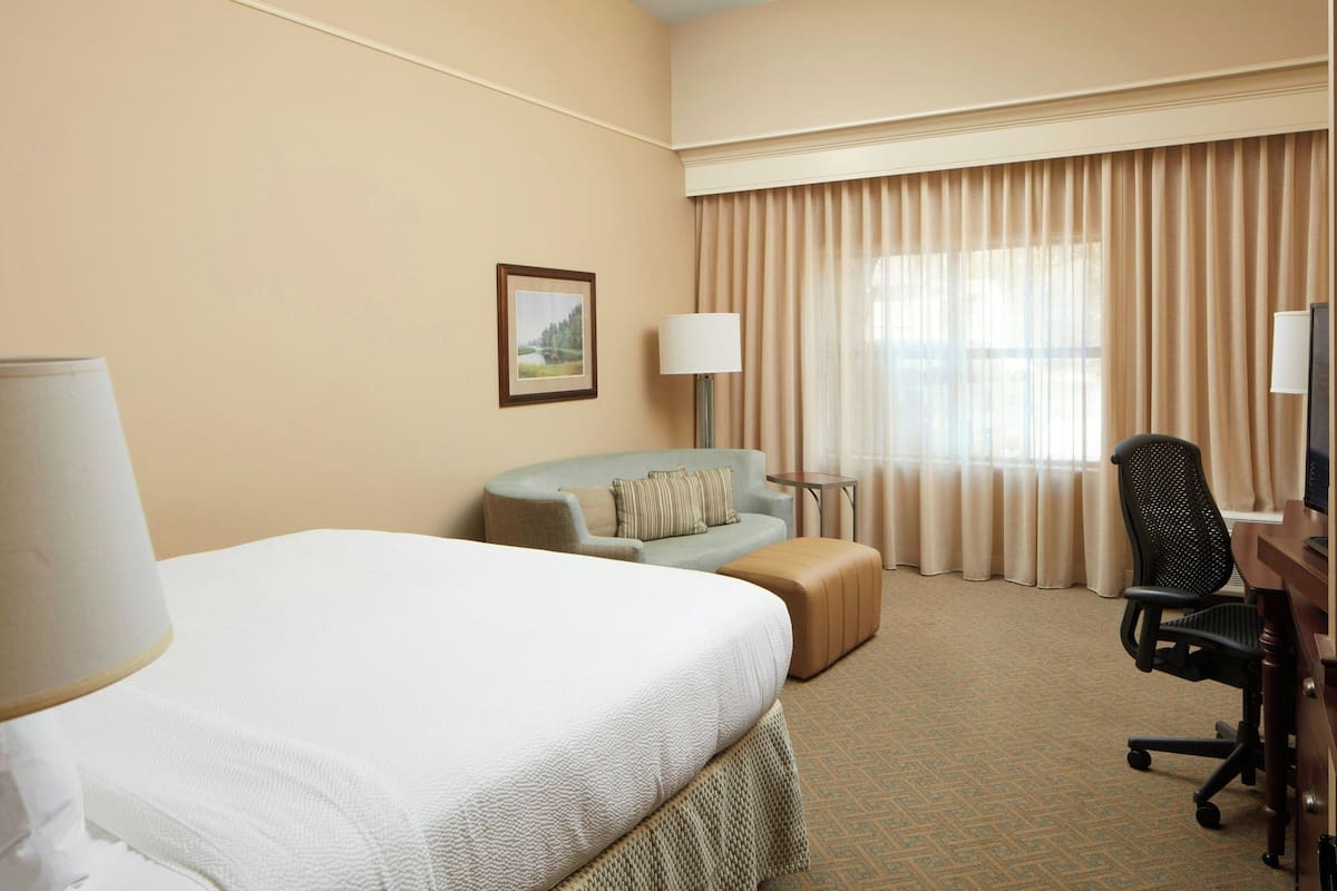 A hotel room with a bed, a sofa, a desk, and a chair.