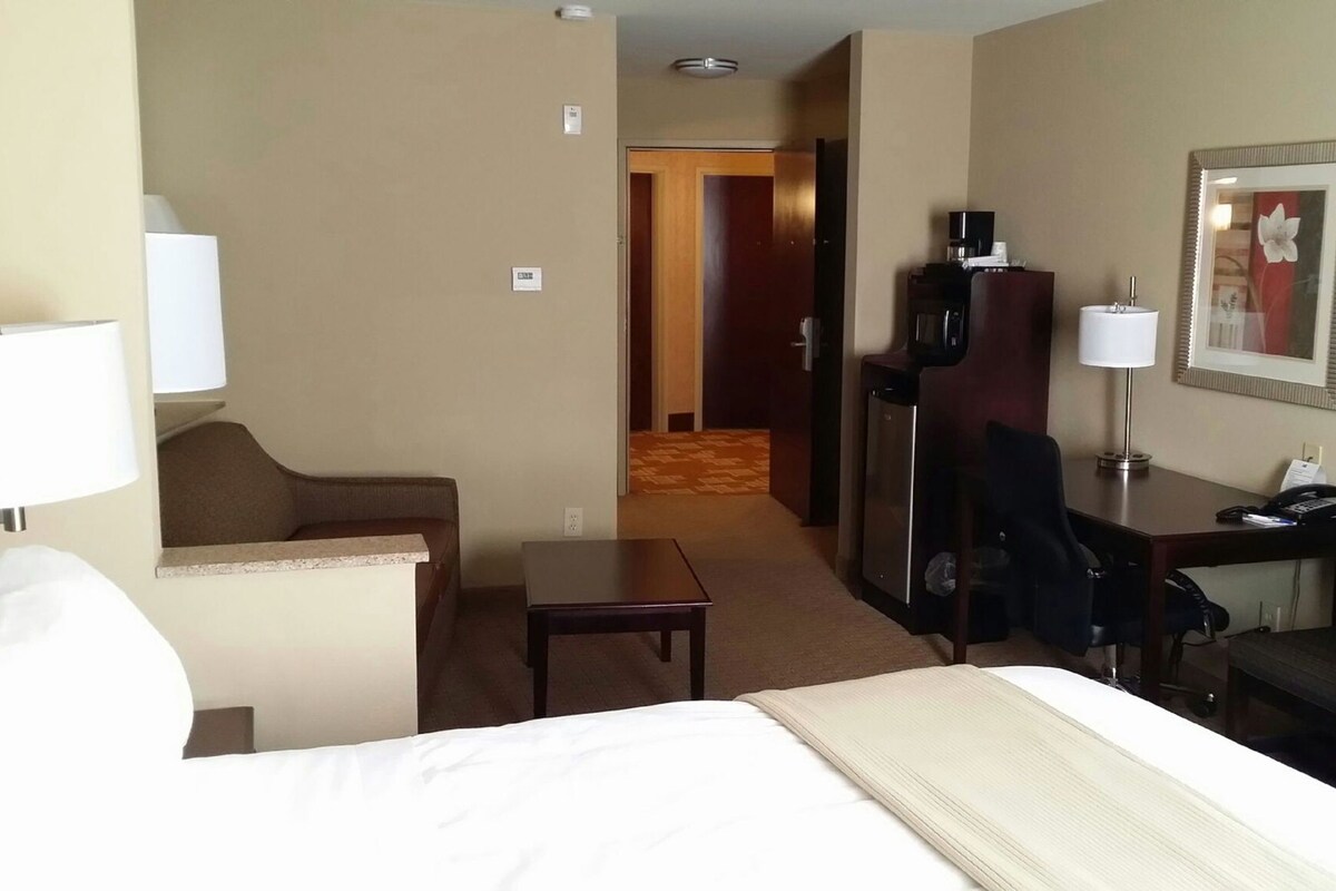 Une chambre d’hôtel avec un lit, un bureau, une chaise, une télévision et un tableau encadré au mur.