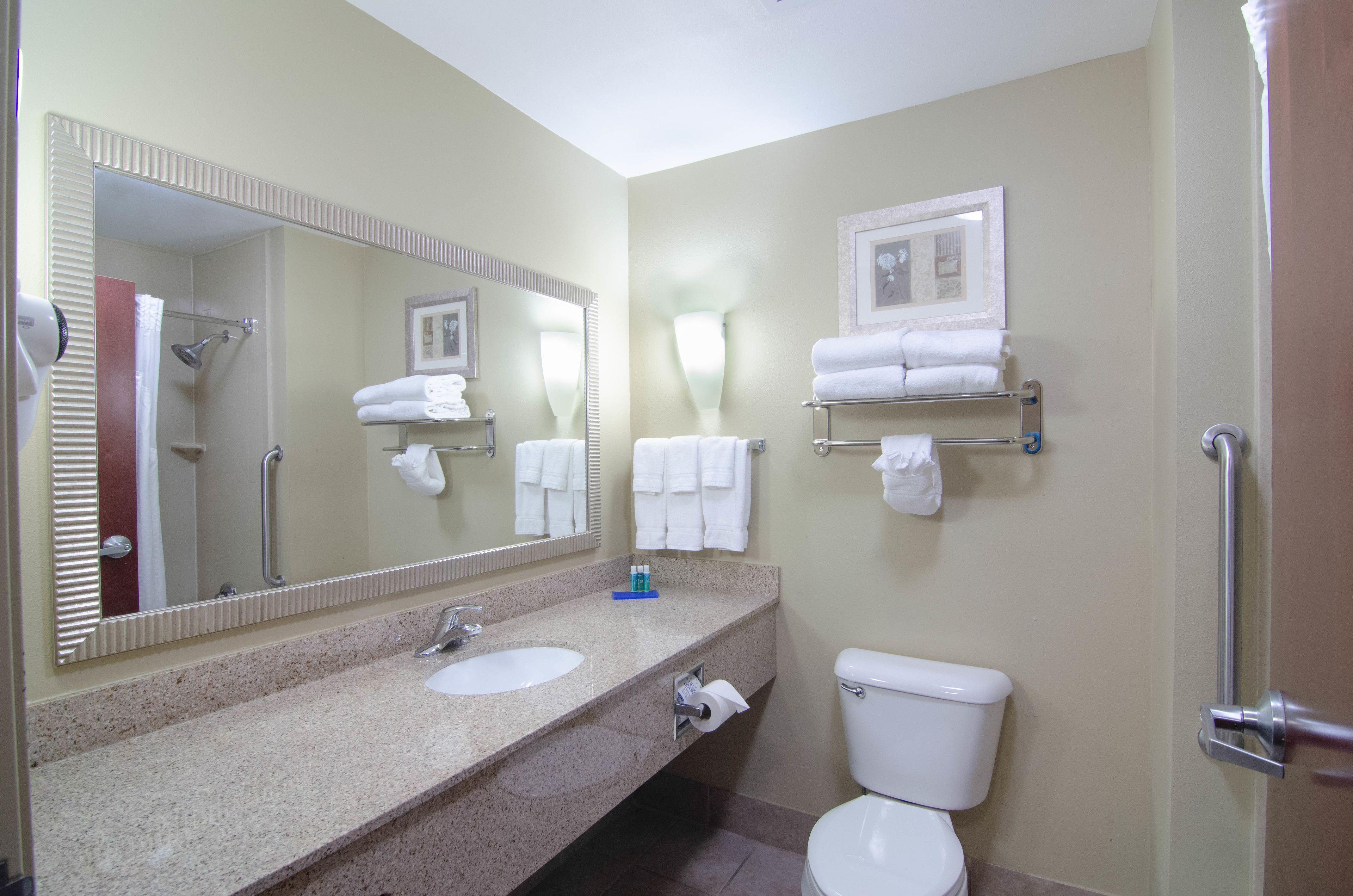 Foto - Comfort Suites Mobile-South Alabama University Area