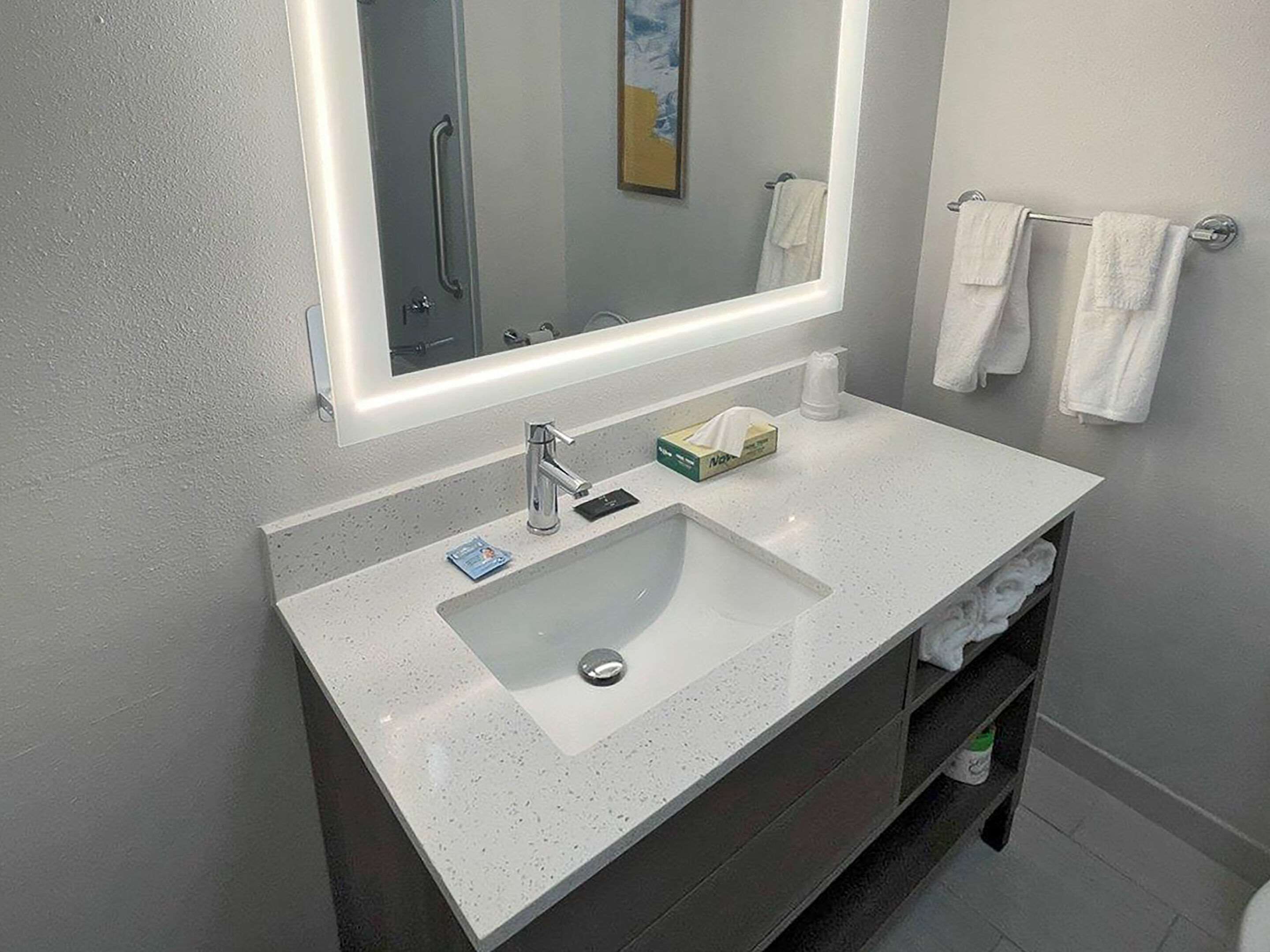 Foto - Comfort Suites Mobile-South Alabama University Area