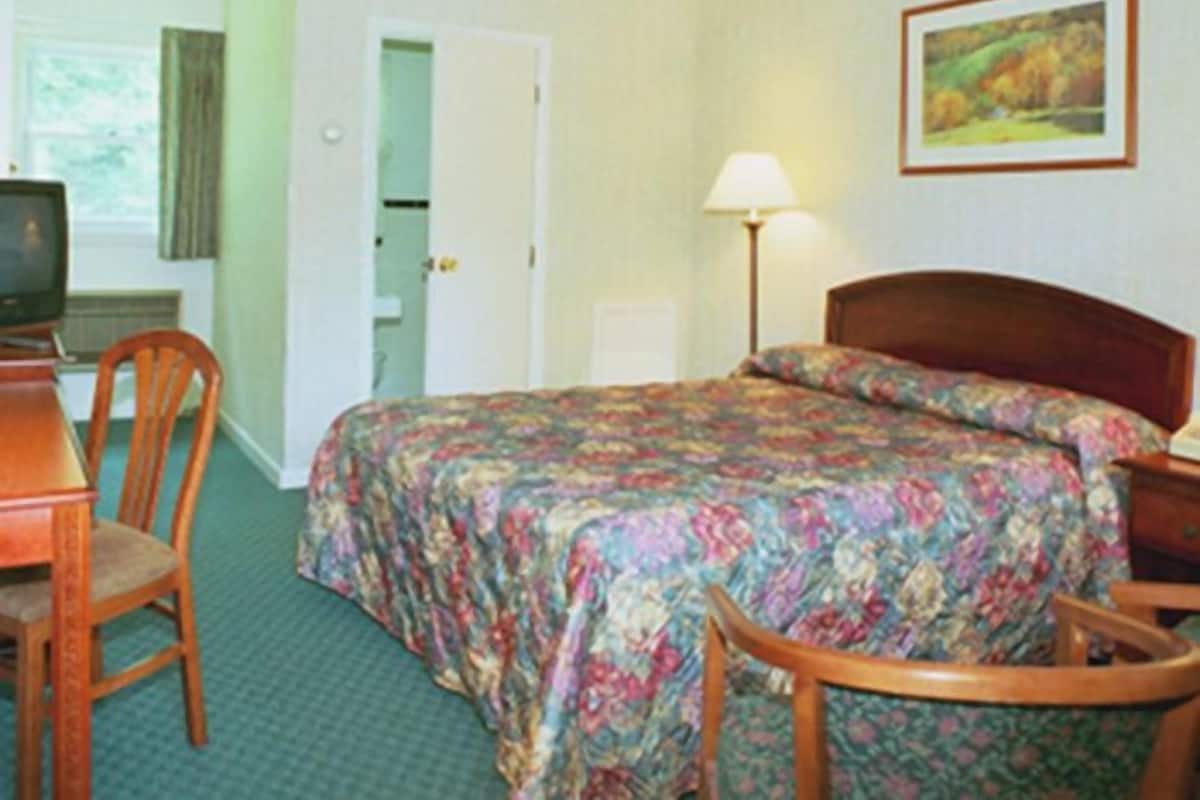 Standard Room, 1 Queen Bed, Non Smoking | Desk, iron/ironing board, WiFi (free), bed sheets