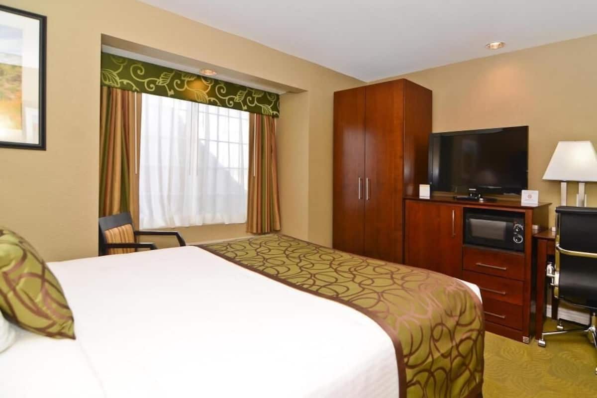 Desk, iron/ironing board, free WiFi, bed sheets