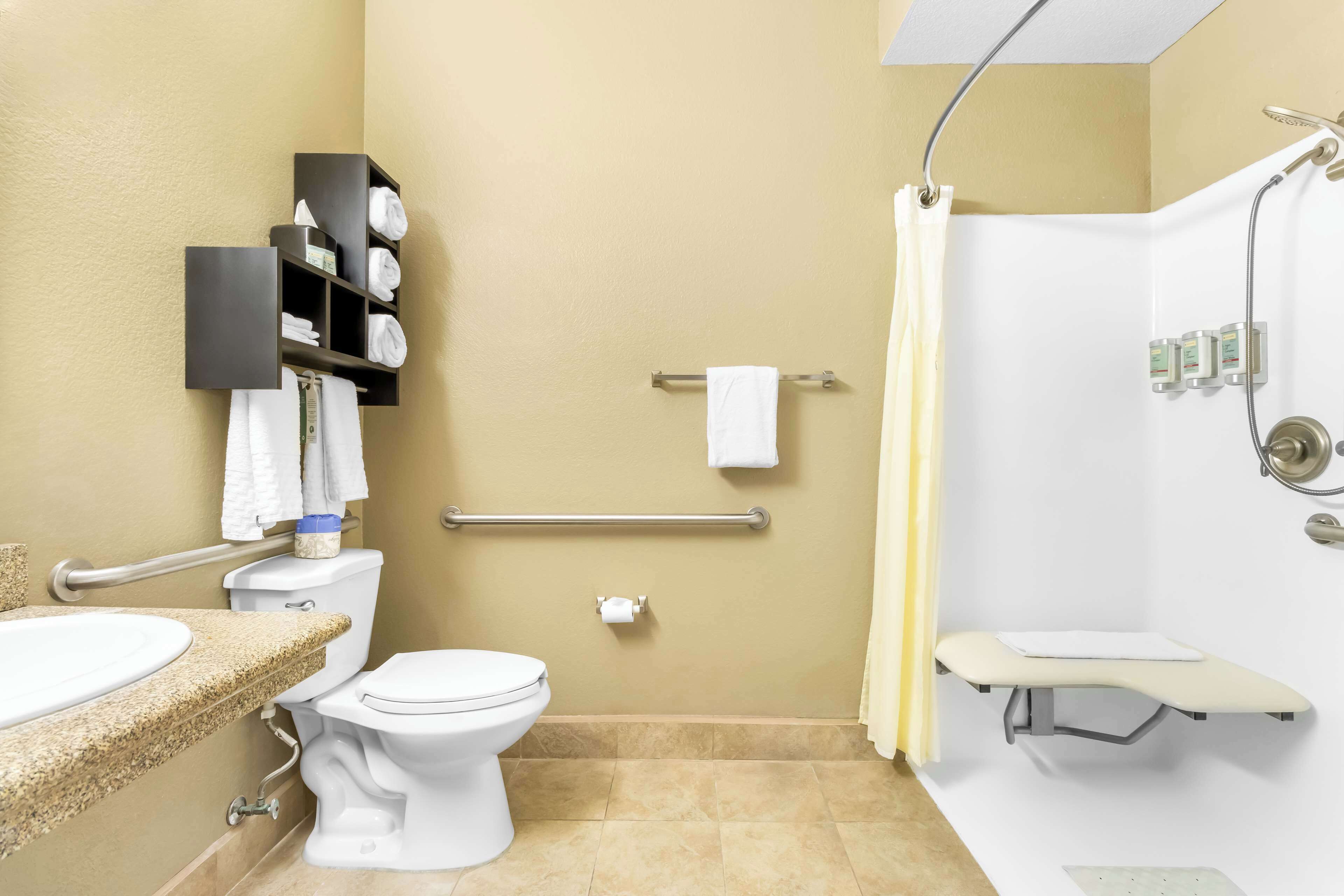 standard room, 1 king bed, accessible, non smoking | accessible bathroom