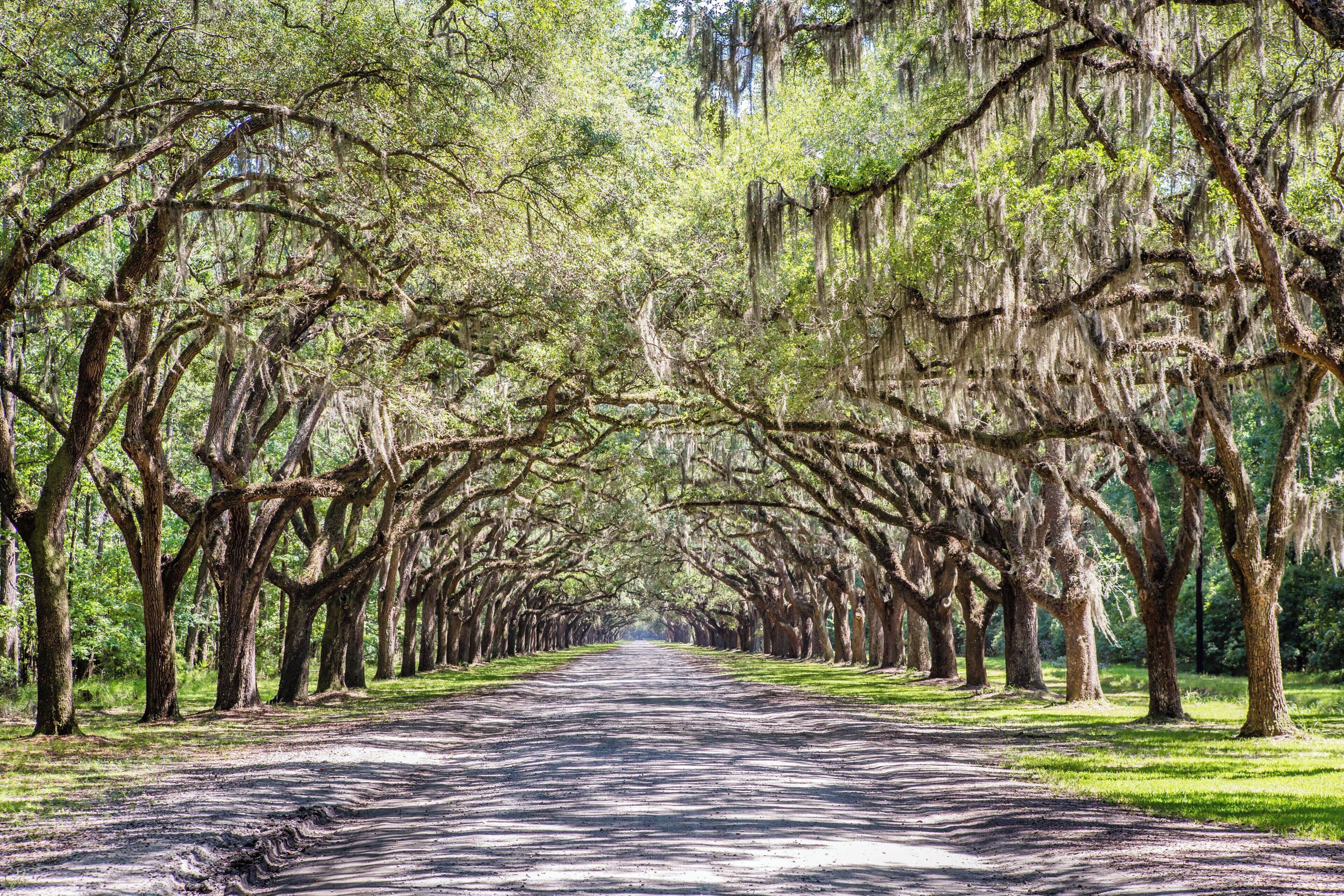 Foto - Holiday Inn Savannah Historic District