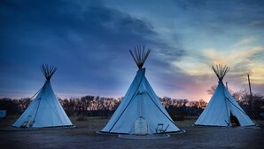 Tres tipis alineats, amb un cel blau clar al fons.