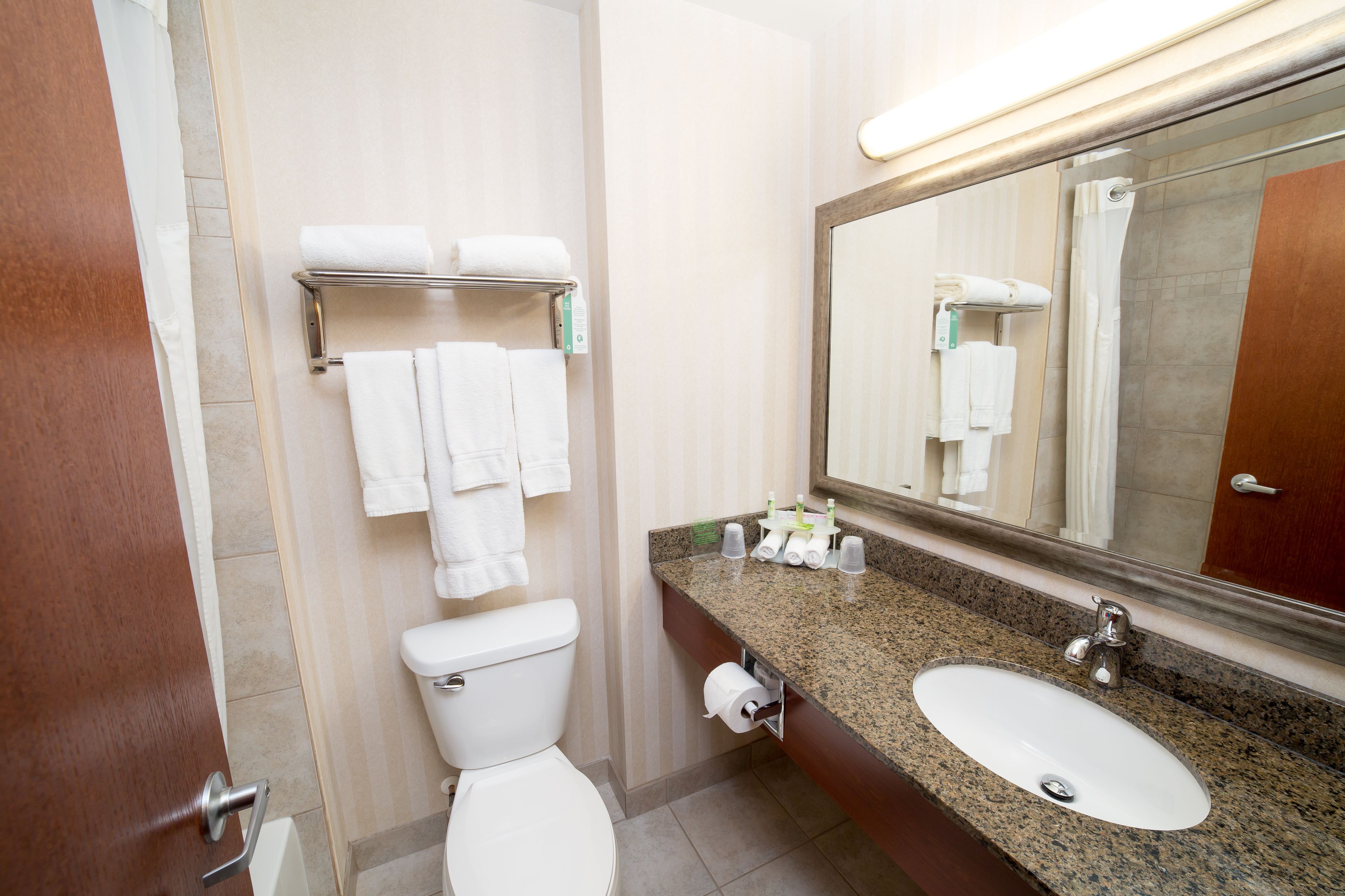 Standard Room, 1 King Bed, Accessible, Jetted Tub | Bathroom | Combined shower/tub, hair dryer, towels