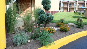 Un edificio con fachada de ladrillo, una acera amarilla y un jardín ajardinado con diversas plantas y flores.
