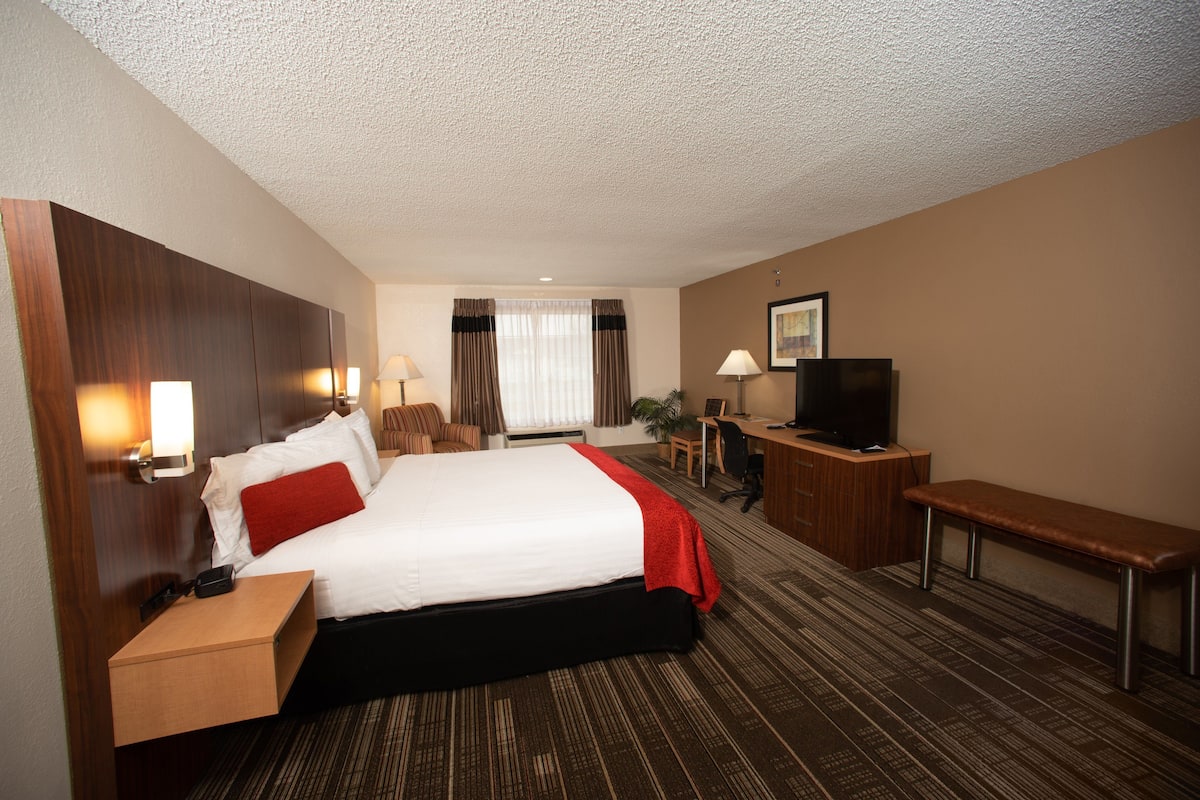 A hotel room with a large bed, a desk, a chair, a TV, and a bench.