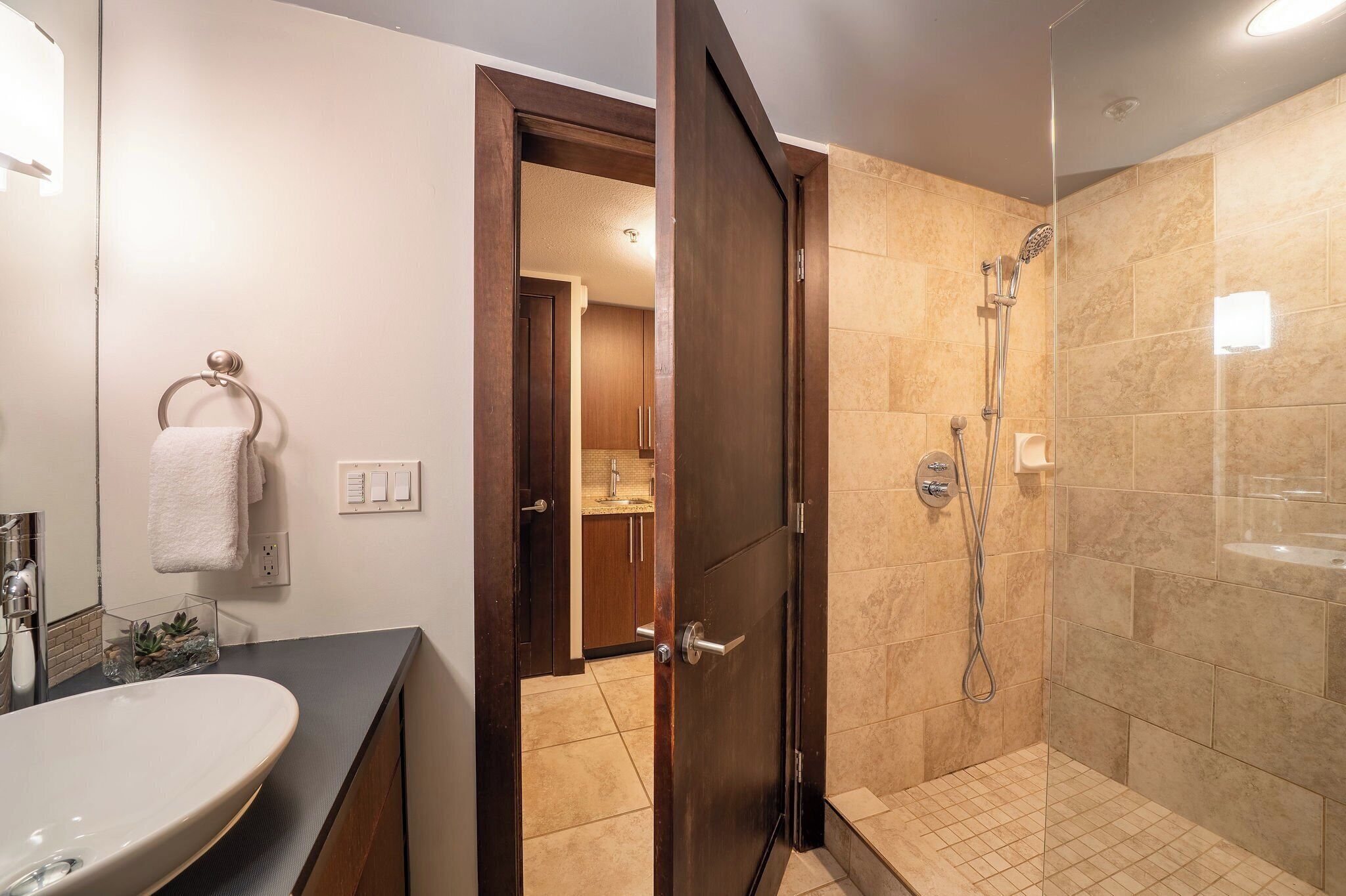 A modern bathroom with a large sink, a glass shower enclosure, and a wooden door leading to a hallway.