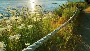 Une barrière faite de cordes longe un sentier au bord du lac, offrant une vue dégagée sur l’eau et bordé de fleurs sauvages.
